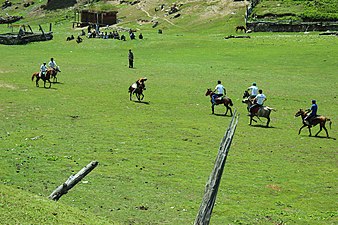 338px-Local_Polo_Match_Fairy_Meadows_Nanga_Parbat